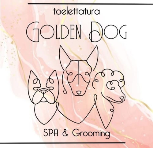 Toelettatura Golden Dog <br> Casalgrande (Re) 
